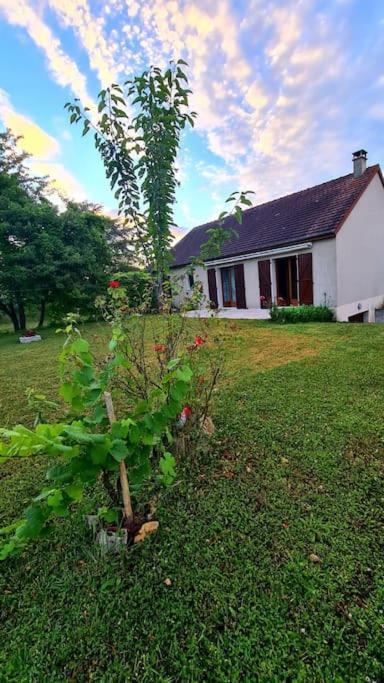 Maison Chaleureuse Avec Charme D'Ancien Jablines Eksteriør billede